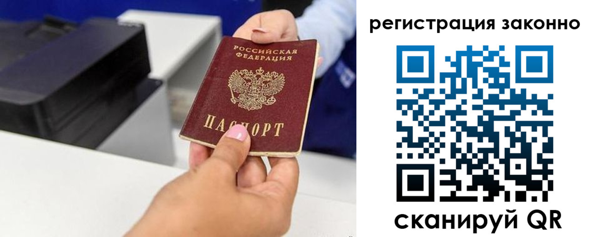 прописка для школы в Прохладном